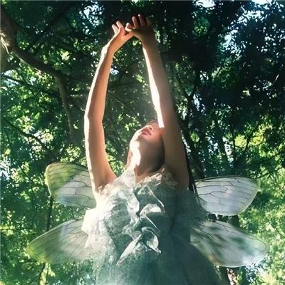 猫目小僧